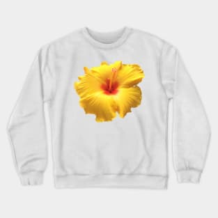 Yellow and Red Hibiscus Crewneck Sweatshirt